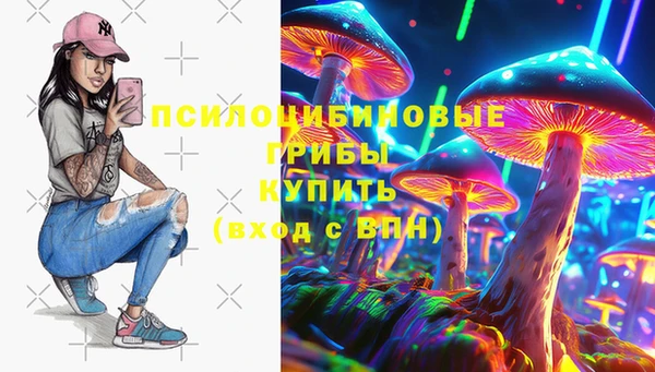 хмурый Дубовка