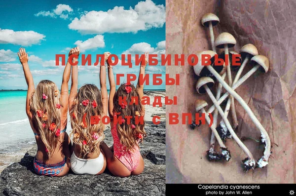 МДПВ Гатчина